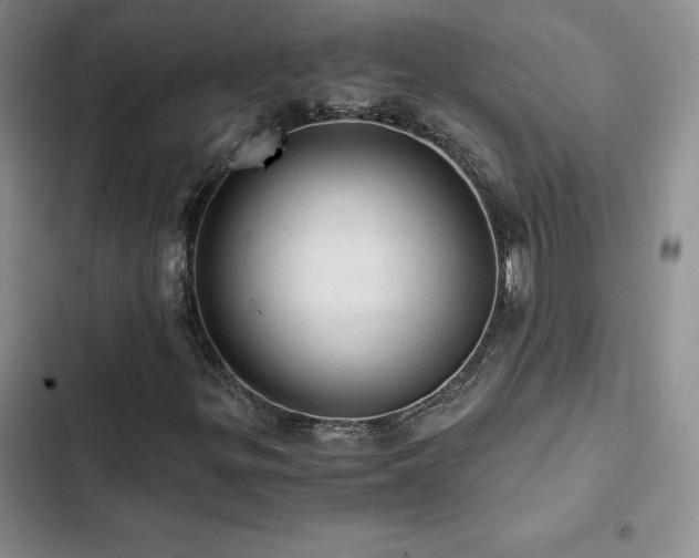 X0000103161299200808221345