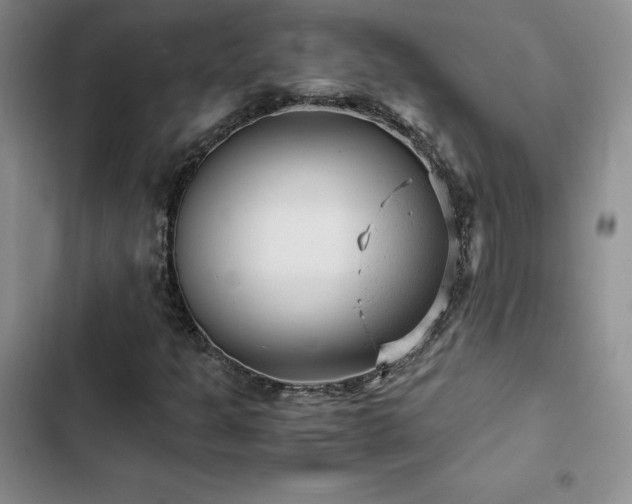 X0000103161301200808221345
