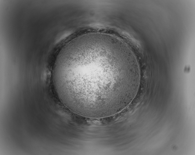 X0000103161302200808221345