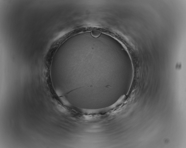 X0000103161303200808221345