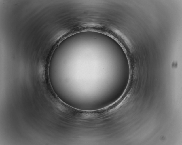 X0000103161305200808221345