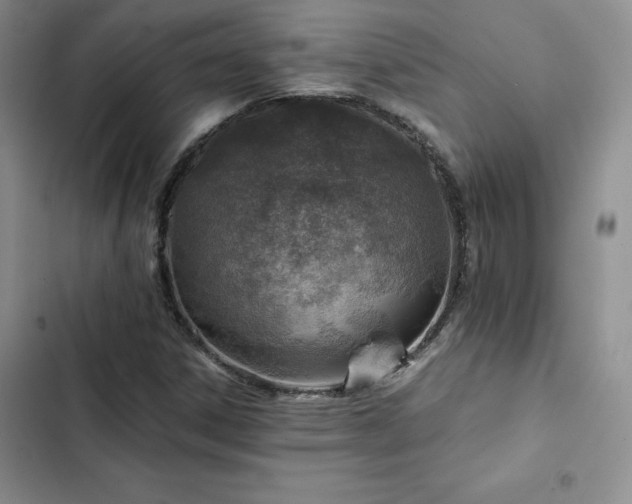 X0000103161306200808221345