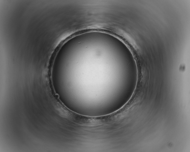 X0000103161308200808221345