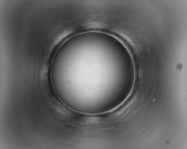 X0000103161309200808221345