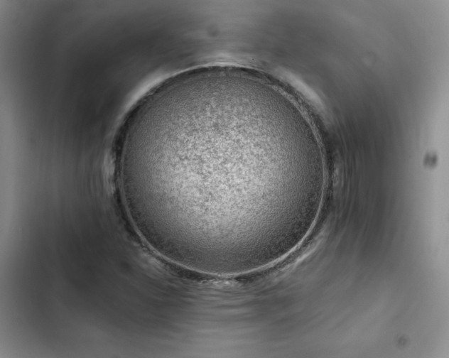 X0000103161310200808221345