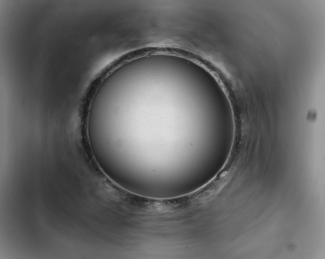 X0000103161311200808221345