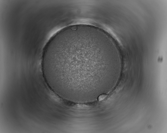 X0000103161312200808221345
