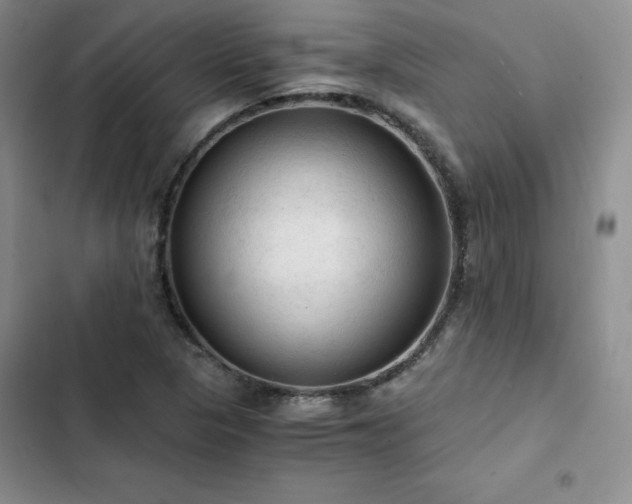 X0000103161313200808221345