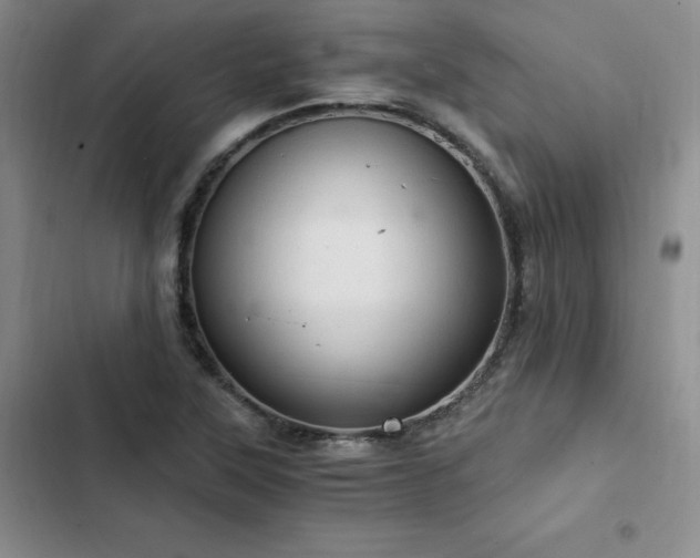 X0000103161315200808221345