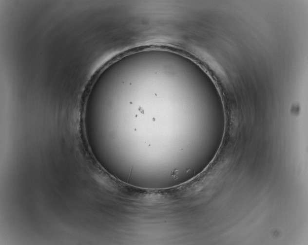 X0000103161316200808221345