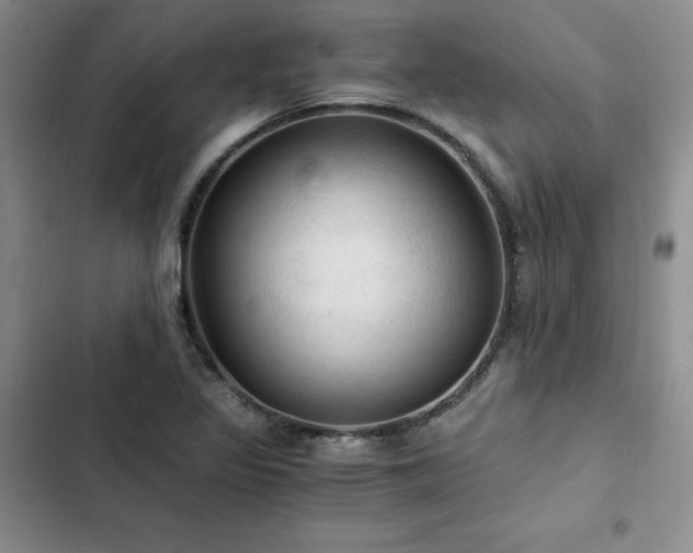 X0000103161317200808221345
