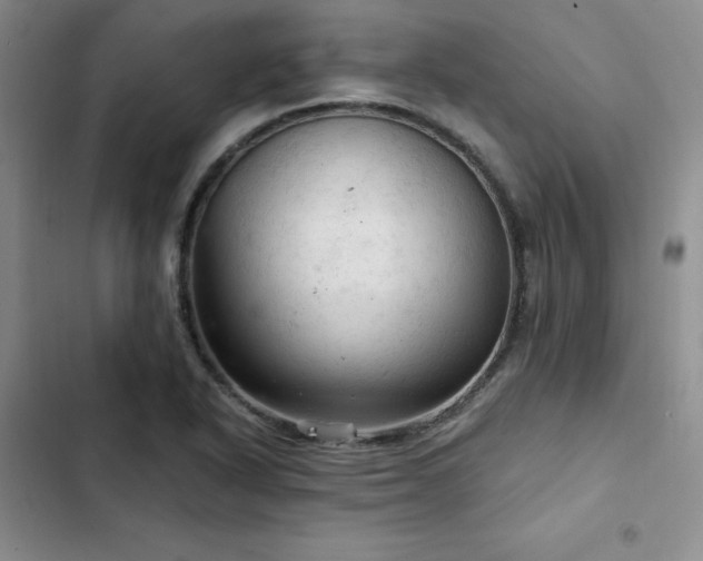 X0000103161318200808221345
