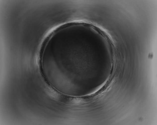 X0000103161319200808221345