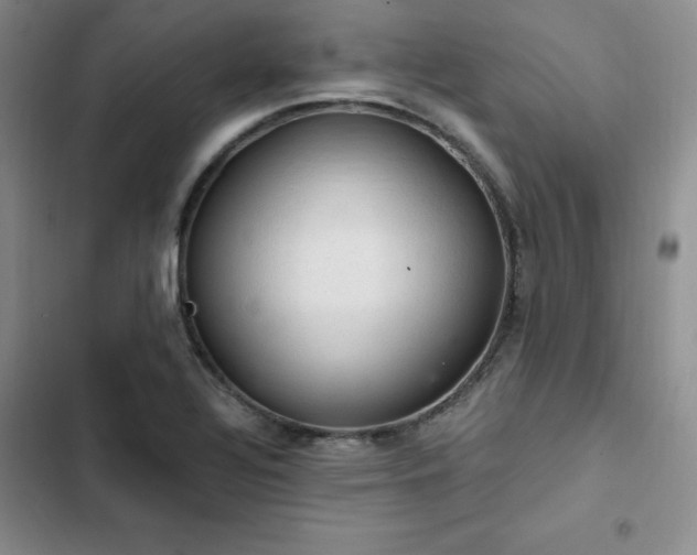 X0000103161320200808221345