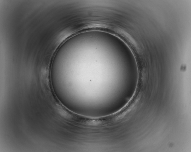 X0000103161321200808221345
