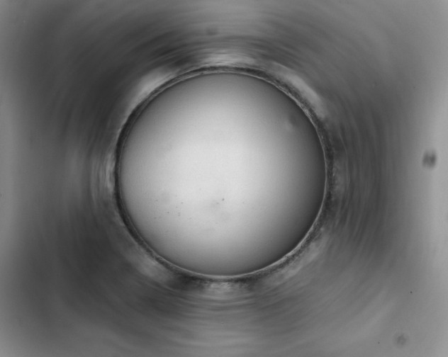 X0000103161322200808221345