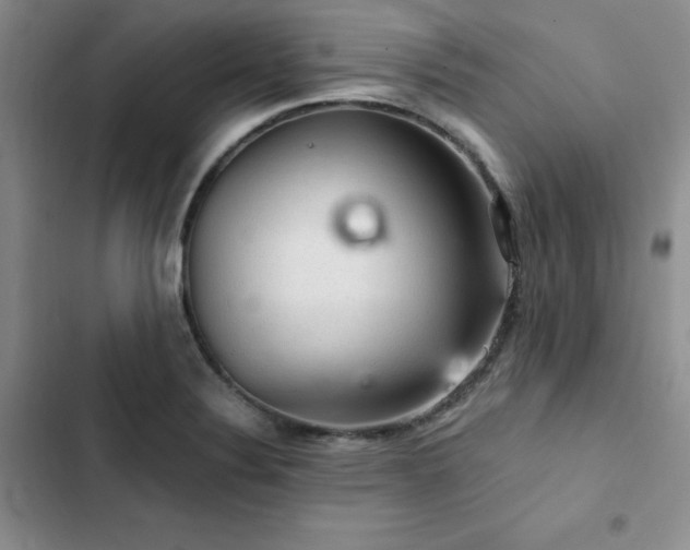X0000103161324200808221345