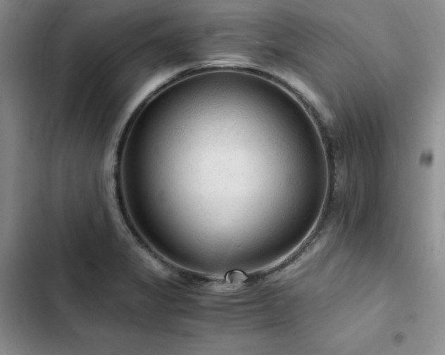 X0000103161325200808221345