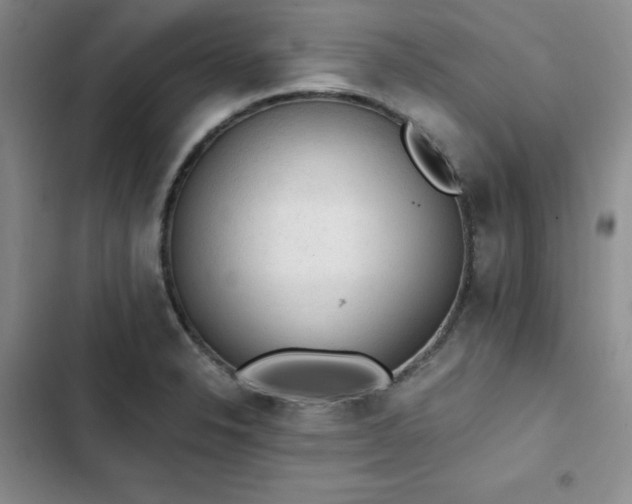 X0000103161326200808221345