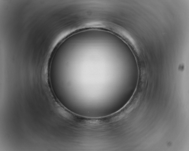 X0000103161328200808221345