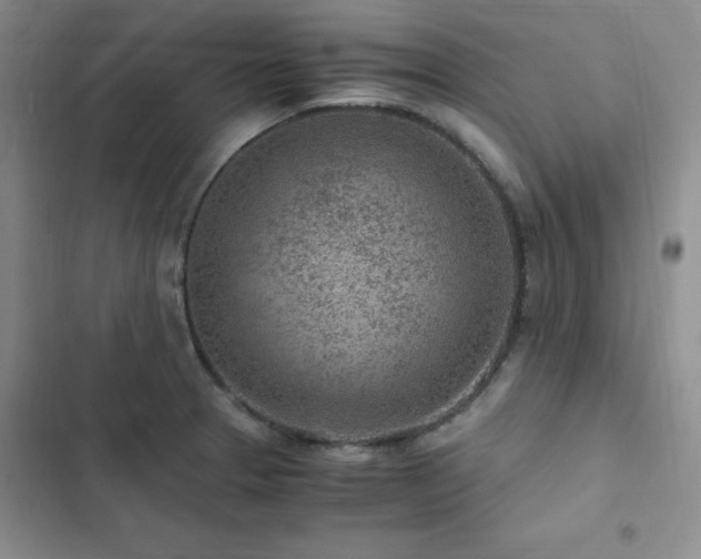 X0000103161329200808221345