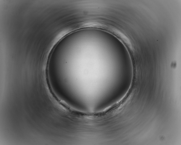 X0000103161330200808221345