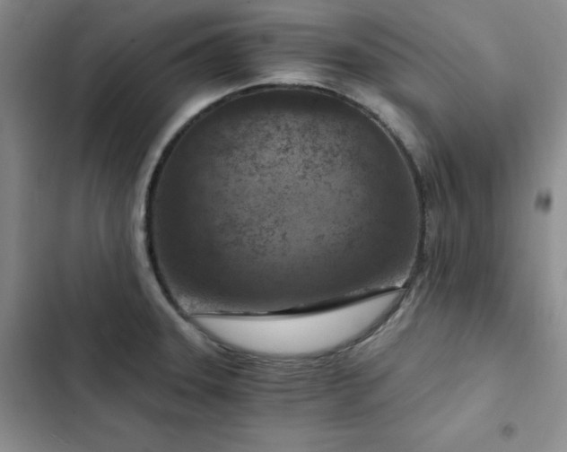 X0000103161331200808221345