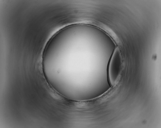 X0000103161332200808221345