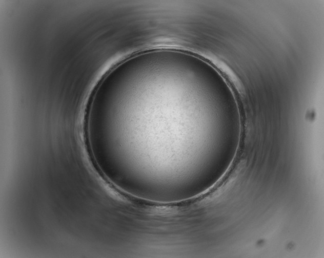 X0000103161333200808221345