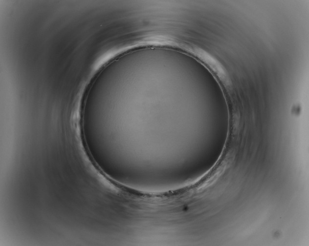 X0000103161334200808221345