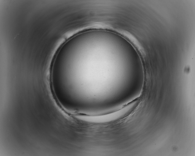 X0000103161335200808221345