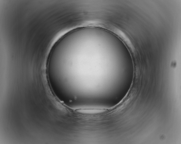 X0000103161336200808221345