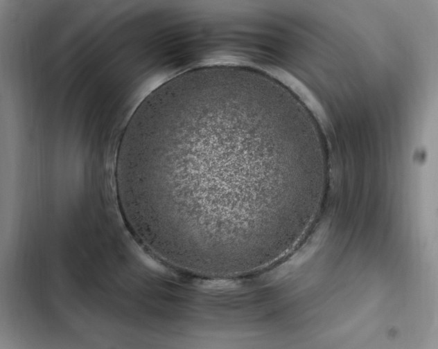 X0000103161337200808221345