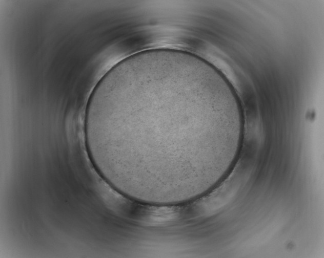 X0000103161338200808221345