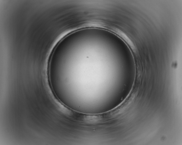 X0000103161339200808221345