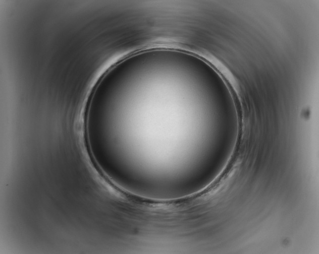 X0000103161341200808221345