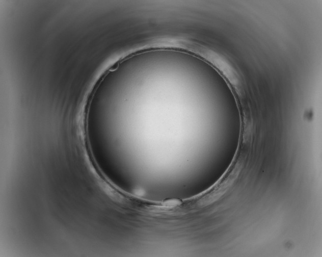 X0000103161342200808221345