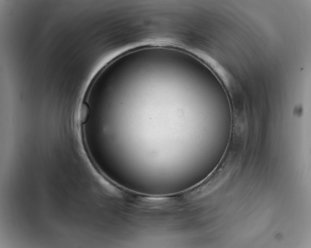 X0000103161343200808221345