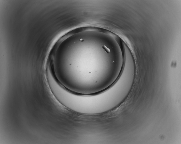 X0000103161344200808221345