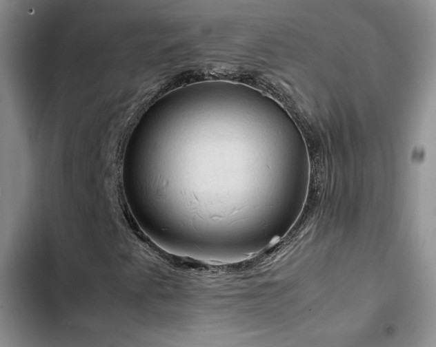 X0000103161345200808221345