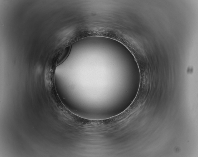 X0000103161346200808221345