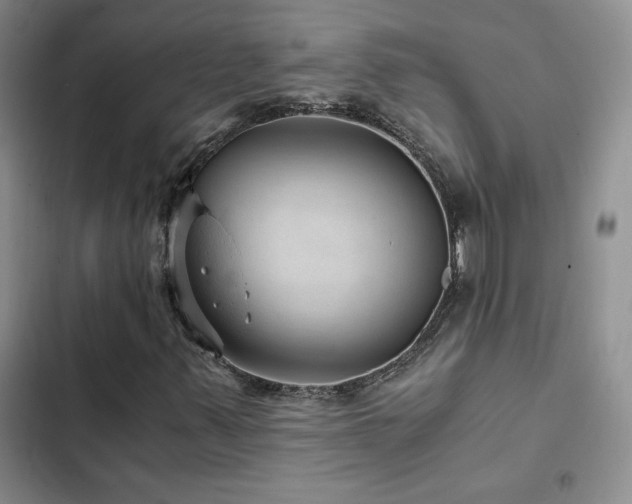 X0000103161347200808221345