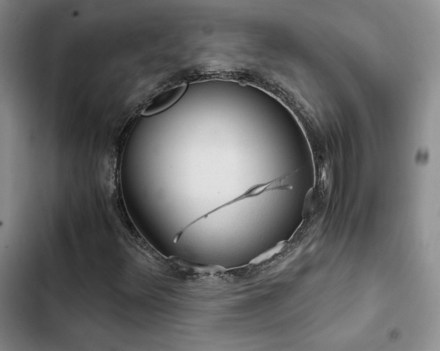 X0000103161348200808221345