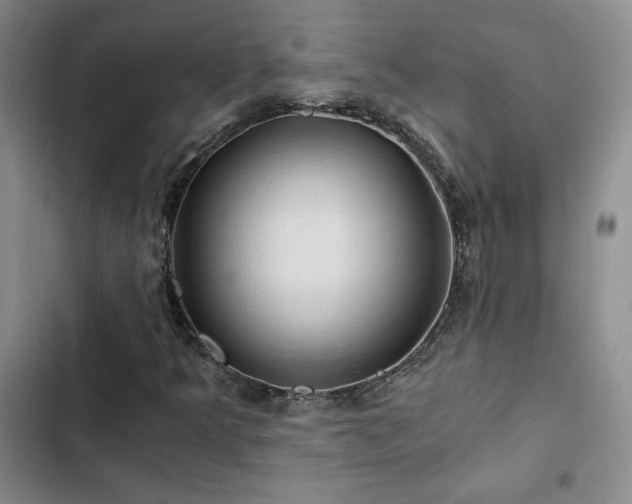X0000103161349200808221344