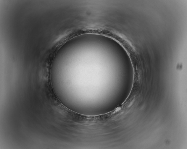 X0000103161350200808221344