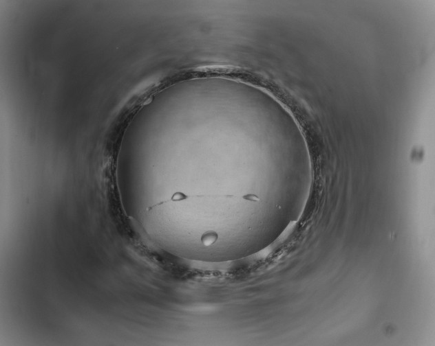X0000103161351200808221344