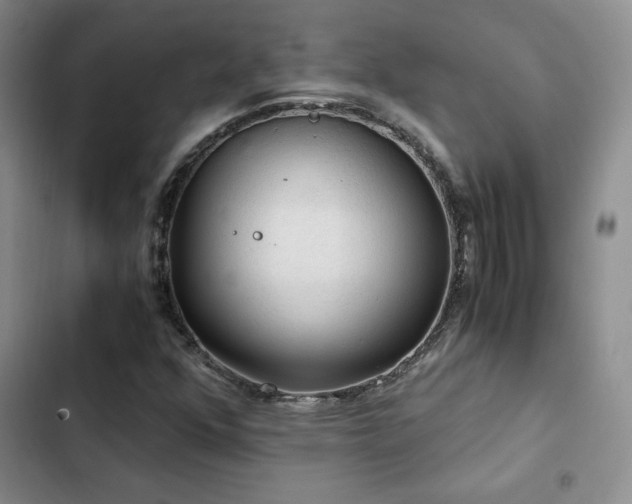 X0000103161352200808221344