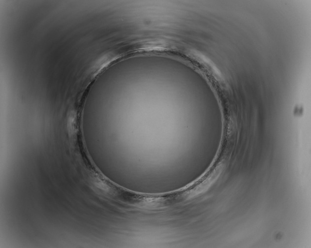 X0000103161353200808221344