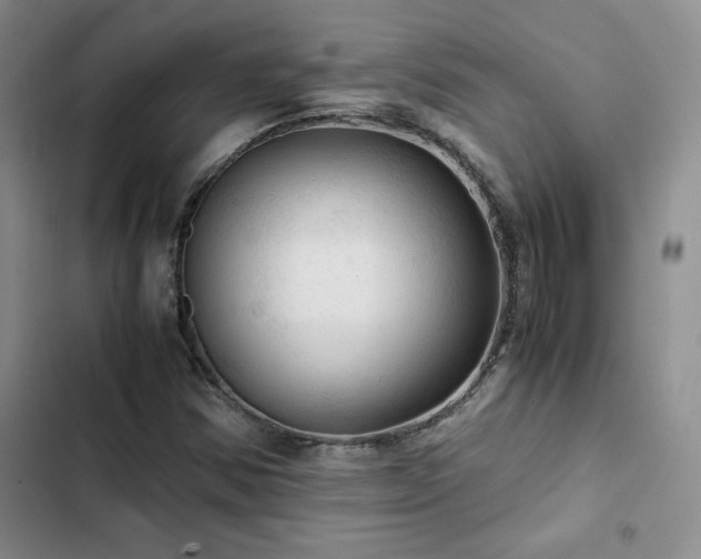 X0000103161354200808221344