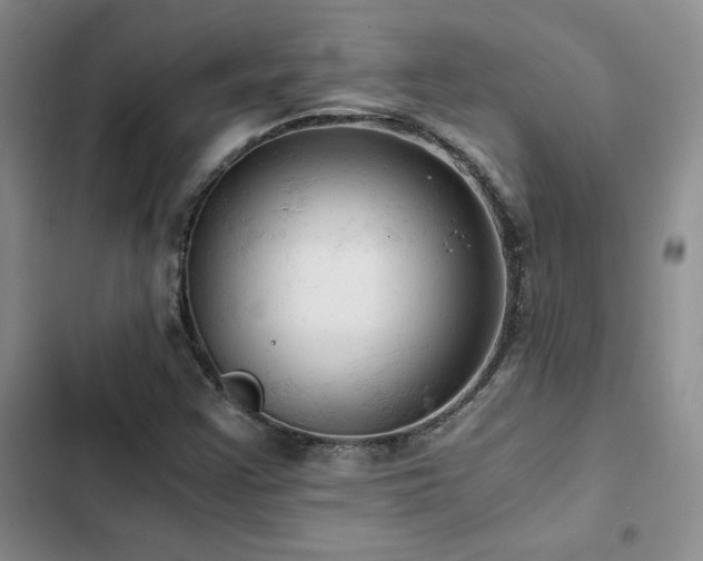 X0000103161355200808221344